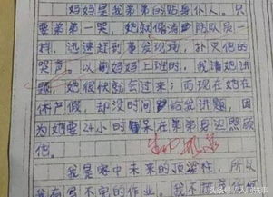 校园变干净的秘密作文怎么写