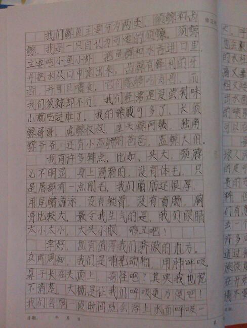 校园消防大学作文1000字作文