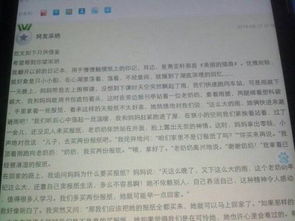 我发现了校园的美700字作文