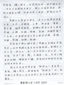 作文,校园里,活动,大全