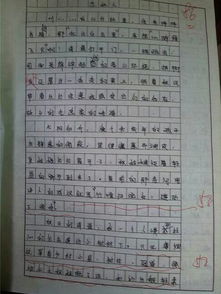 我的高中校园作文600字