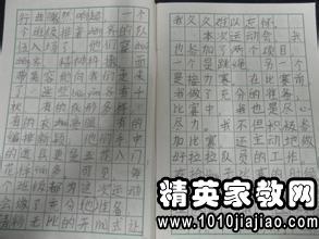 校园运动会消息作文200