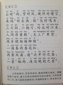 作文校园纪事600字左右记叙文