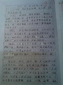 校园的色彩大学作文1000字