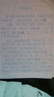 我给校园拍拍照作文400字