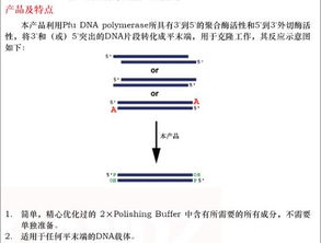 trizol提取rna的注意事项,trizol法提取rna注意事项,trizol提rna