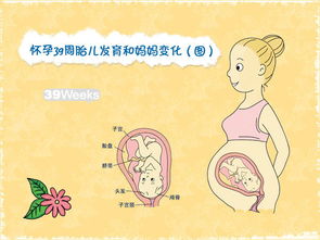 怀孕29周后注意事项