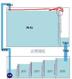 底滤鱼缸开缸注意事项