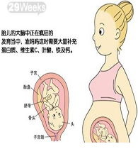 怀孕29周饮食注意事项,怀孕12周后注意事项,怀孕37周后注意事项