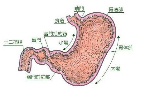 注意事项,胃类癌