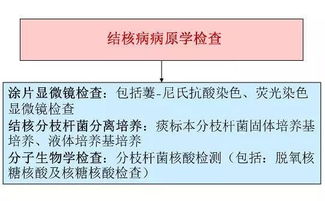 小孩结核菌素试验注意事项