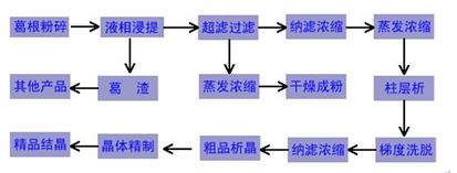 发明葛根素分离提取技术的科学家,葛根素的分离提取用到了那些技术?,叶绿素的提取和分离实验注意事项