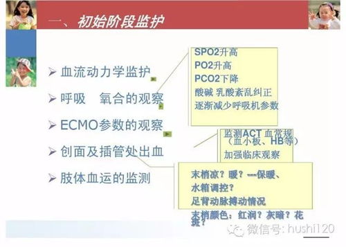 ecmo重要护理注意事项