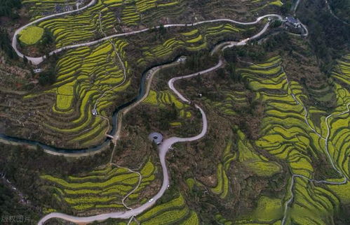 冬季毕棚沟旅游注意事项,冬季峨眉山旅游注意事项,东北冬季旅游注意事项