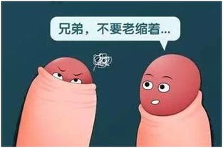 包茎,注意事项