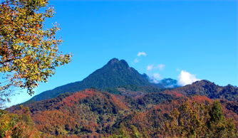 爬泰山注意事项,五指山养殖方法和注意事项,爬华山注意事项