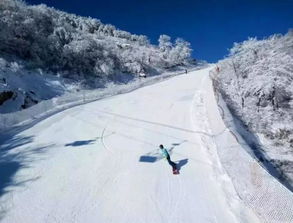 七星岭滑雪注意事项,滑雪的注意事项,滑雪注意事项和要领