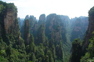 游玩,注意事项,黑麋峰