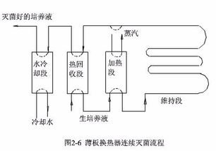 培养基,灭菌,要注意,事项