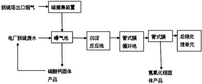 镁法脱硫中的注意事项