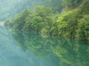 10月九寨沟旅游注意事项,九寨沟旅游的注意事项,九寨沟旅游注意事项须知