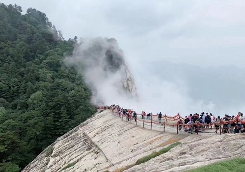 华山,注意事项,晚上