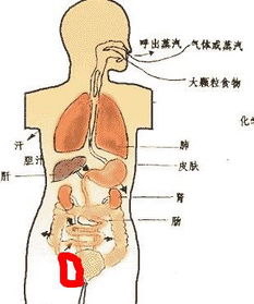 肺部有大泡应该注意什么,小气泡注意事项,小气泡做完后注意事项