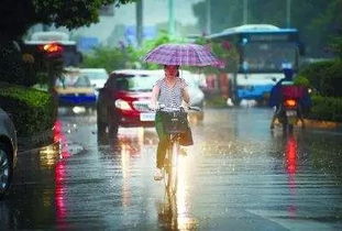 台风暴雨天气安全注意事项,台风暴雨天气行车注意事项,台风天气安全注意事项