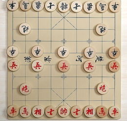 中国象棋,注意事项