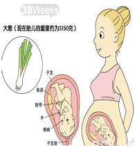 需注意,怀孕,事项