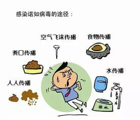 躲星顺星的注意事项,躲星的注意事项,初八躲星注意事项