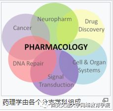 药理学,注意事项,kcl