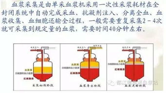 献血浆前后的注意事项