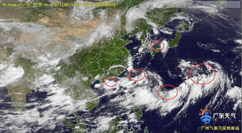 暴雨,台风,注意事项,天气