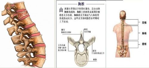 术后,注意事项,压缩,性骨折