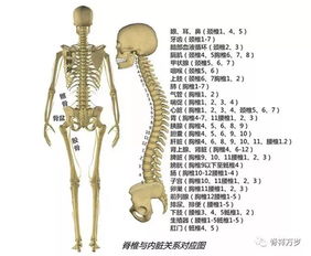 筋疗注意事项