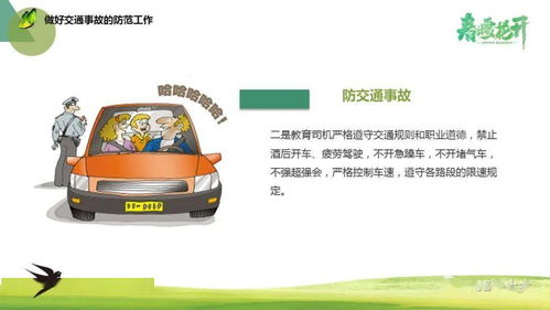 驾车,注意事项,ppt