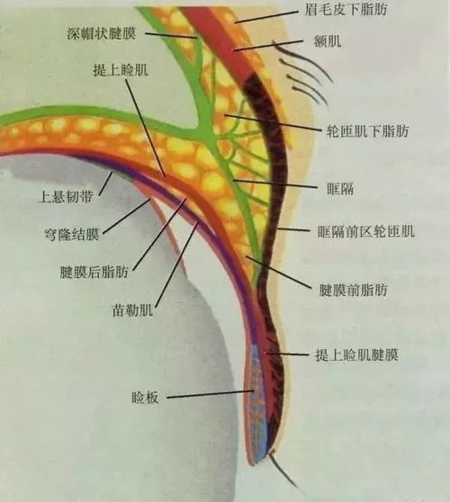 注意事项,手术