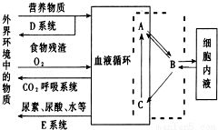 斜面培养基接种注意事项