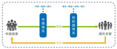 冠桥蜡型制作过程中的注意事项,石蜡切片的制作过程的注意事项,面包制作过程及注意事项