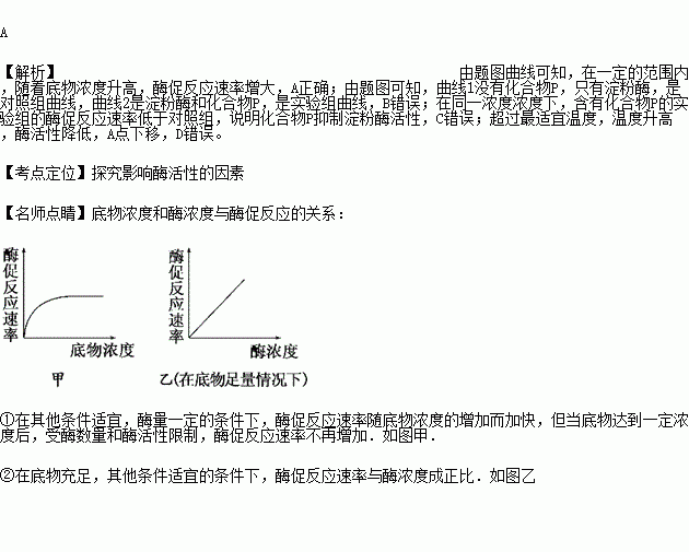 淀粉酶活性的测定注意事项