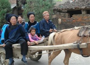 去世,注意事项,亲人