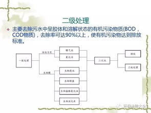 洗水工艺对版注意事项