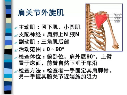 外科手术器械注意事项,器械护士的注意事项,外来器械处理的注意事项