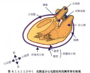 心包穿刺后注意事项