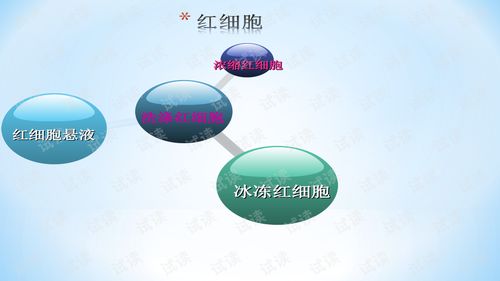 输血,注意事项,ppt