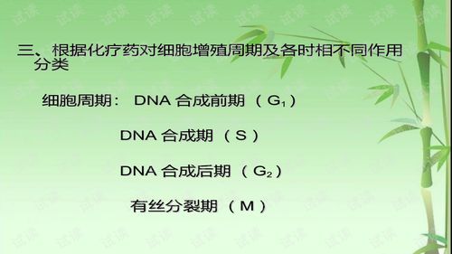 化疗药物的注意事项ppt