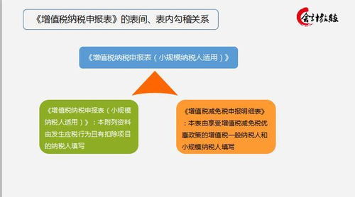 个人所得税申报注意事项,国际收支申报注意事项,税务申报注意事项