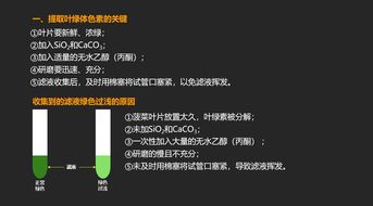 葛根素分离提取的注意事项