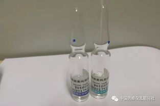 皮肤消毒试验操作过程注意事项